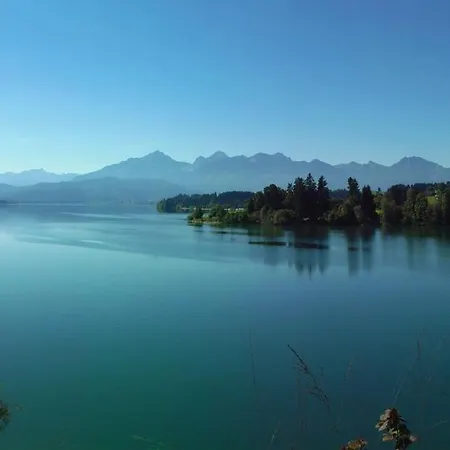 Appartement Edelweiss *